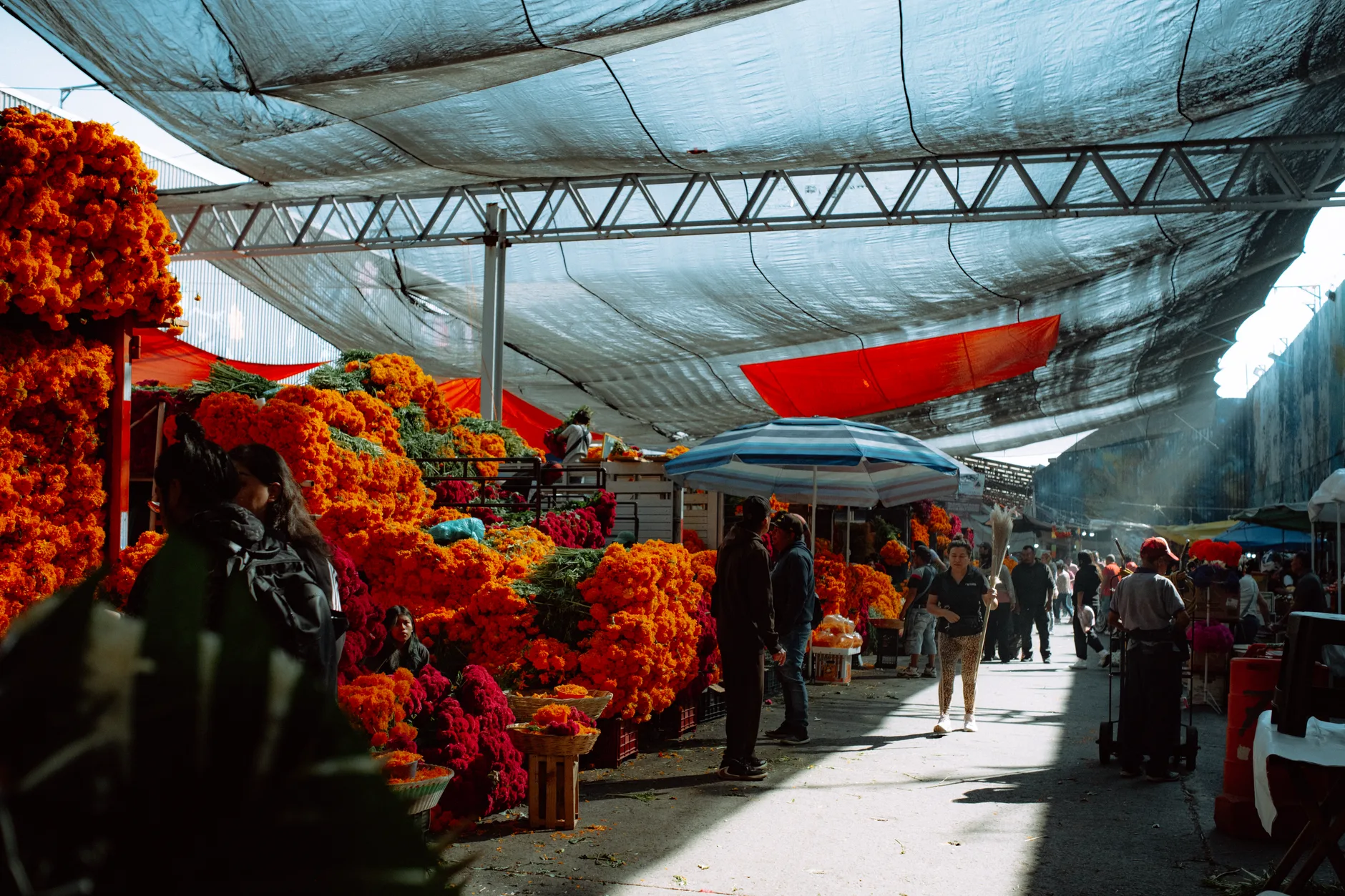 Marché aux fleurs coloré à Mexico