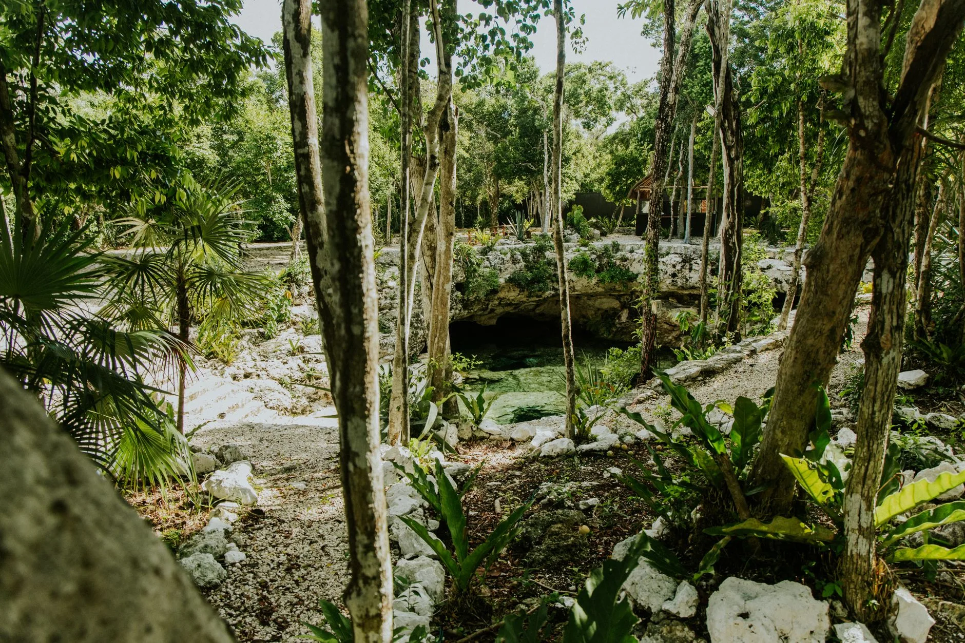 Autour de Tulum et de la Riviera maya
