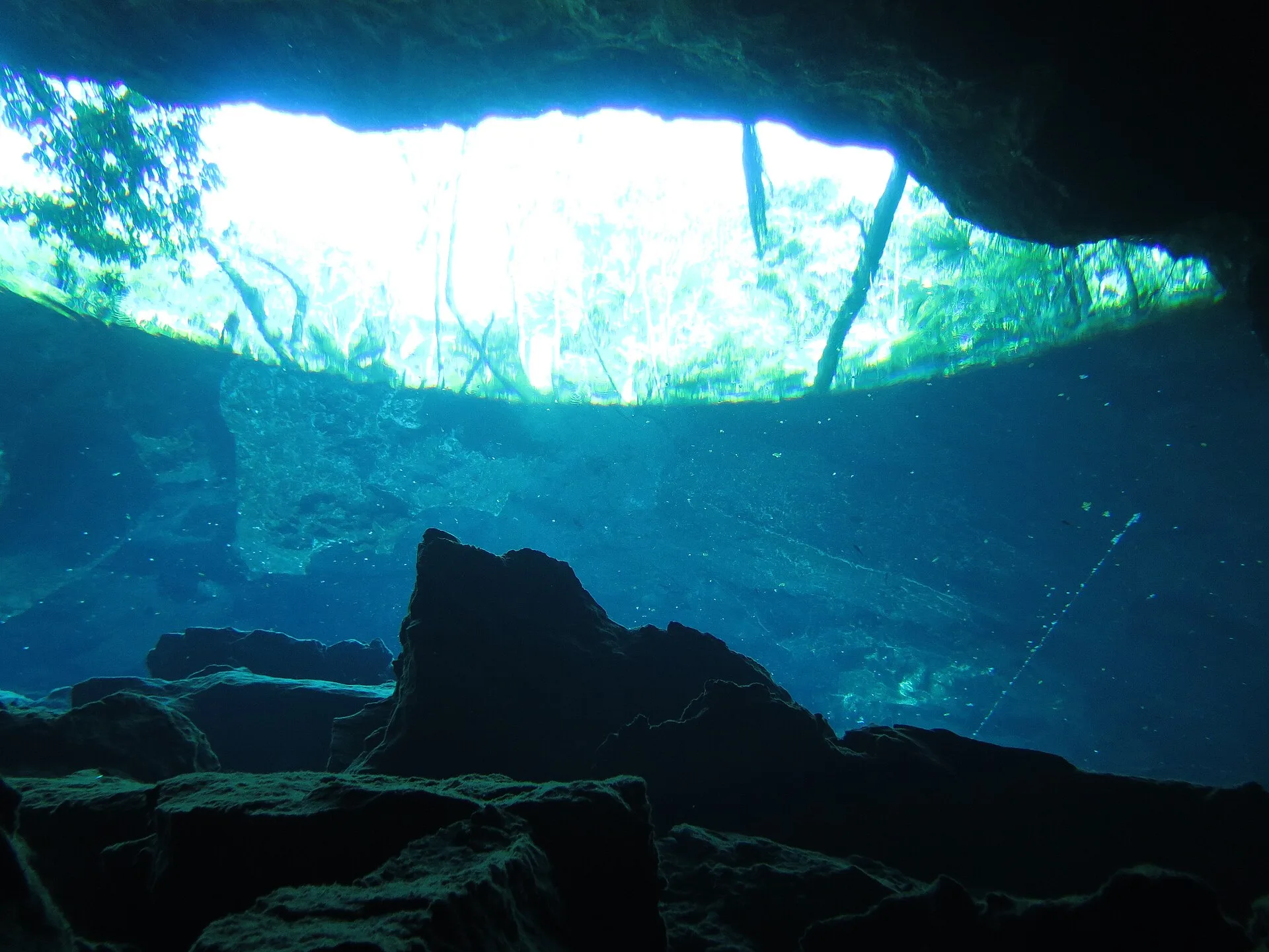 Cénote du Yucatán aux eaux turquoise sous une voûte de roche et de lianes