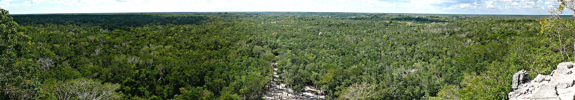 Panorama de la jungle et de la pyramide de Cobá au Yucatán sous un ciel bleu