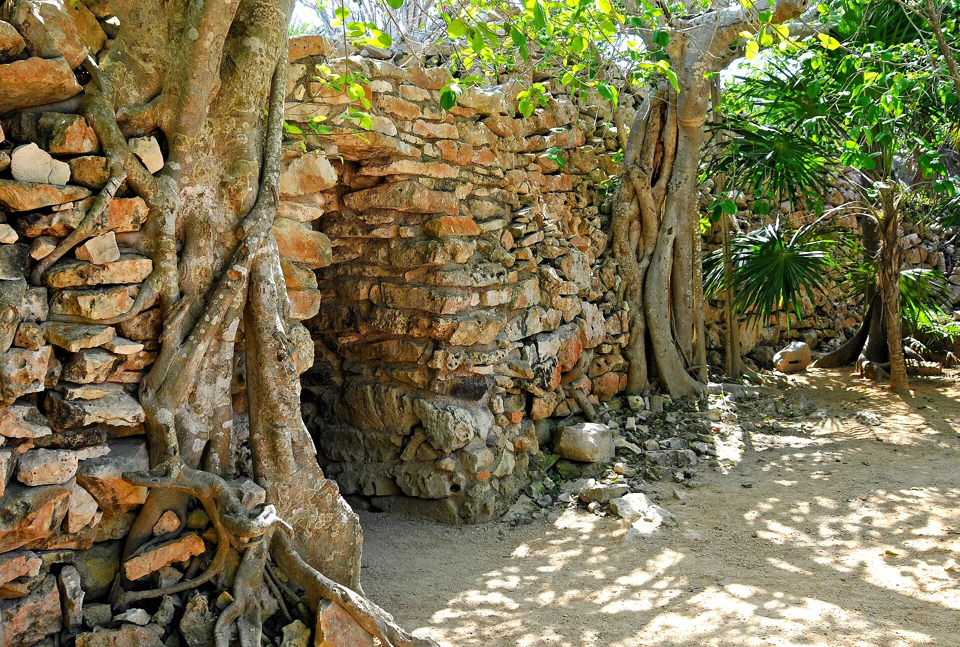 Ruines de pierre de la cité maya fortifiée de Tulum, entourées de végétation
